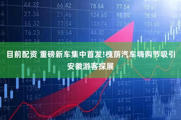 目前配资 重磅新车集中首发!槐荫汽车嗨购节吸引安徽游客探展