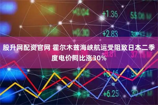 股升网配资官网 霍尔木兹海峡航运受阻致日本二季度电价同比涨30%