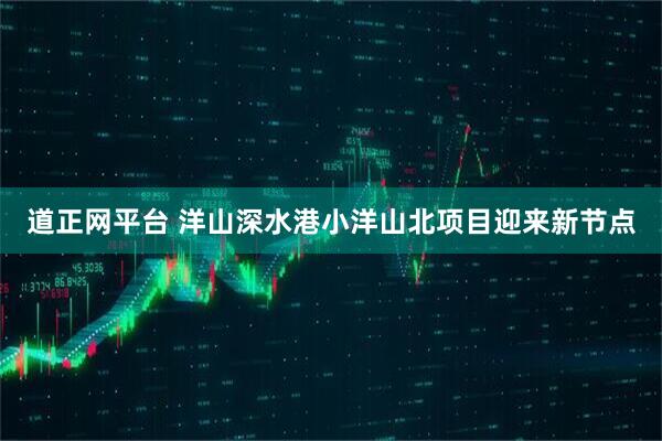 道正网平台 洋山深水港小洋山北项目迎来新节点